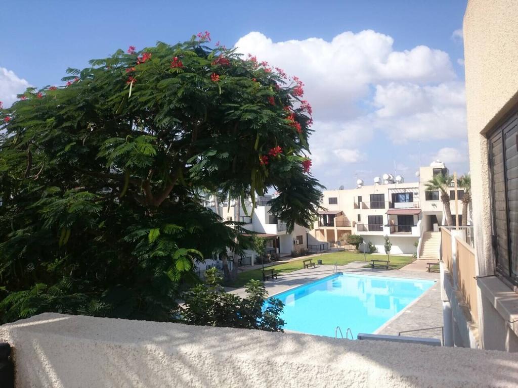 פרוטאראס Theodoros Apt. 408 מראה חיצוני תמונה