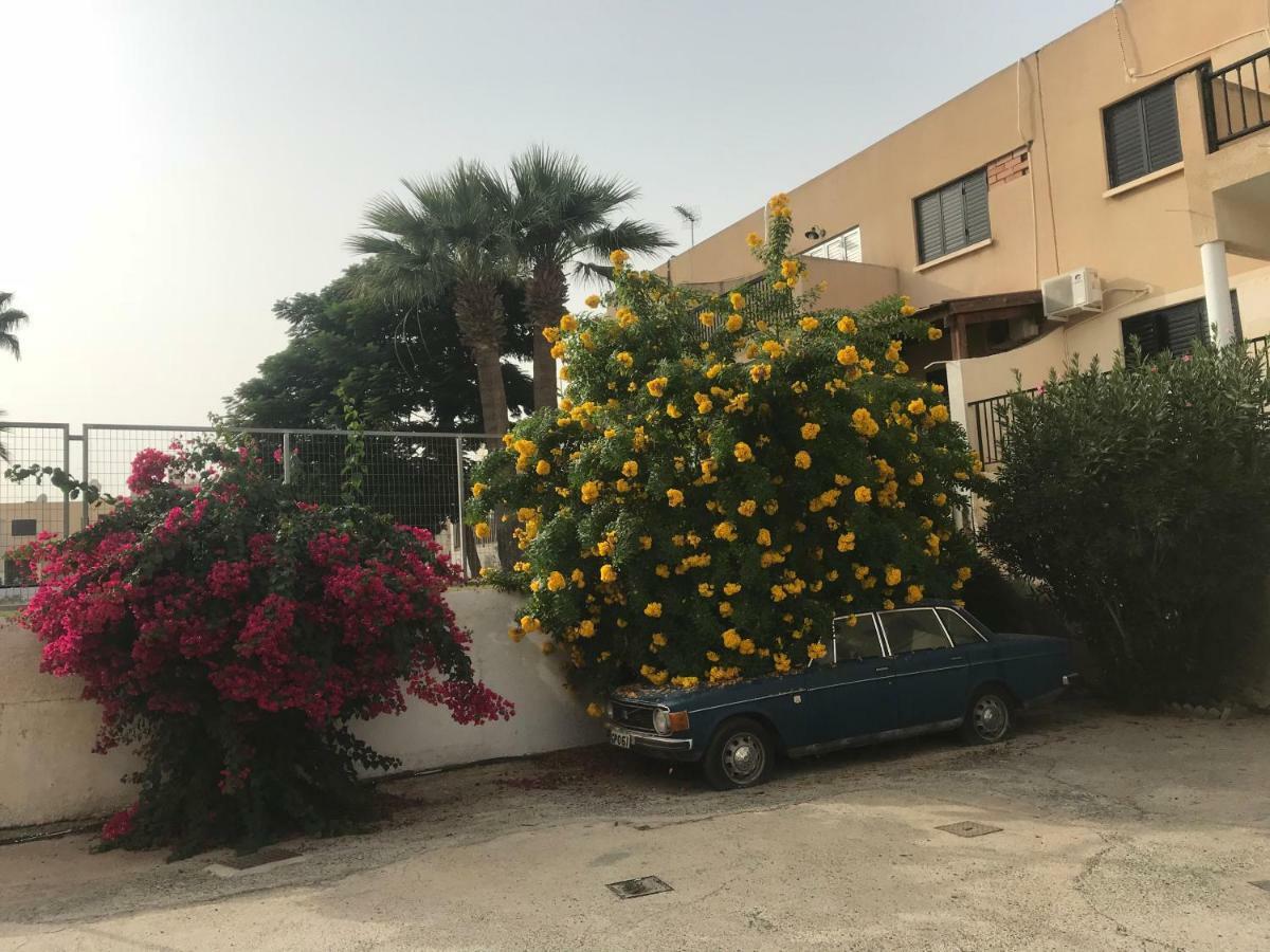 פרוטאראס Theodoros Apt. 408 מראה חיצוני תמונה